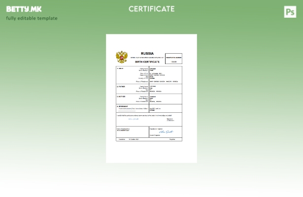 модерен стил Русија од витално значење извод од матична книга на родени Шаблон W